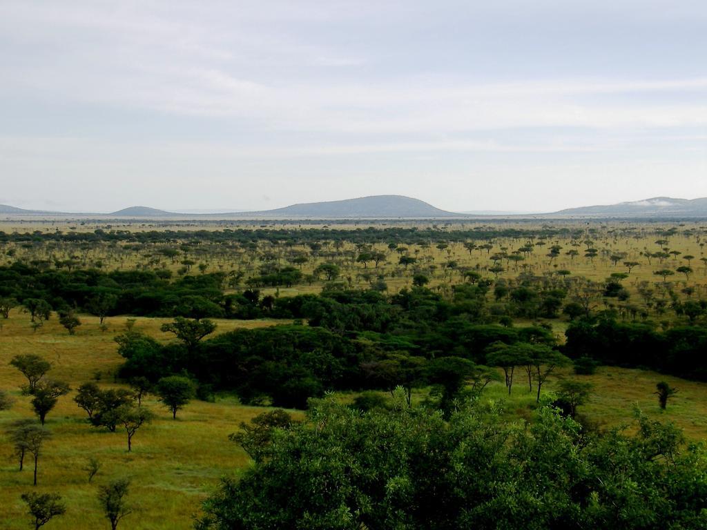 Mbalageti Serengeti Buitenkant foto