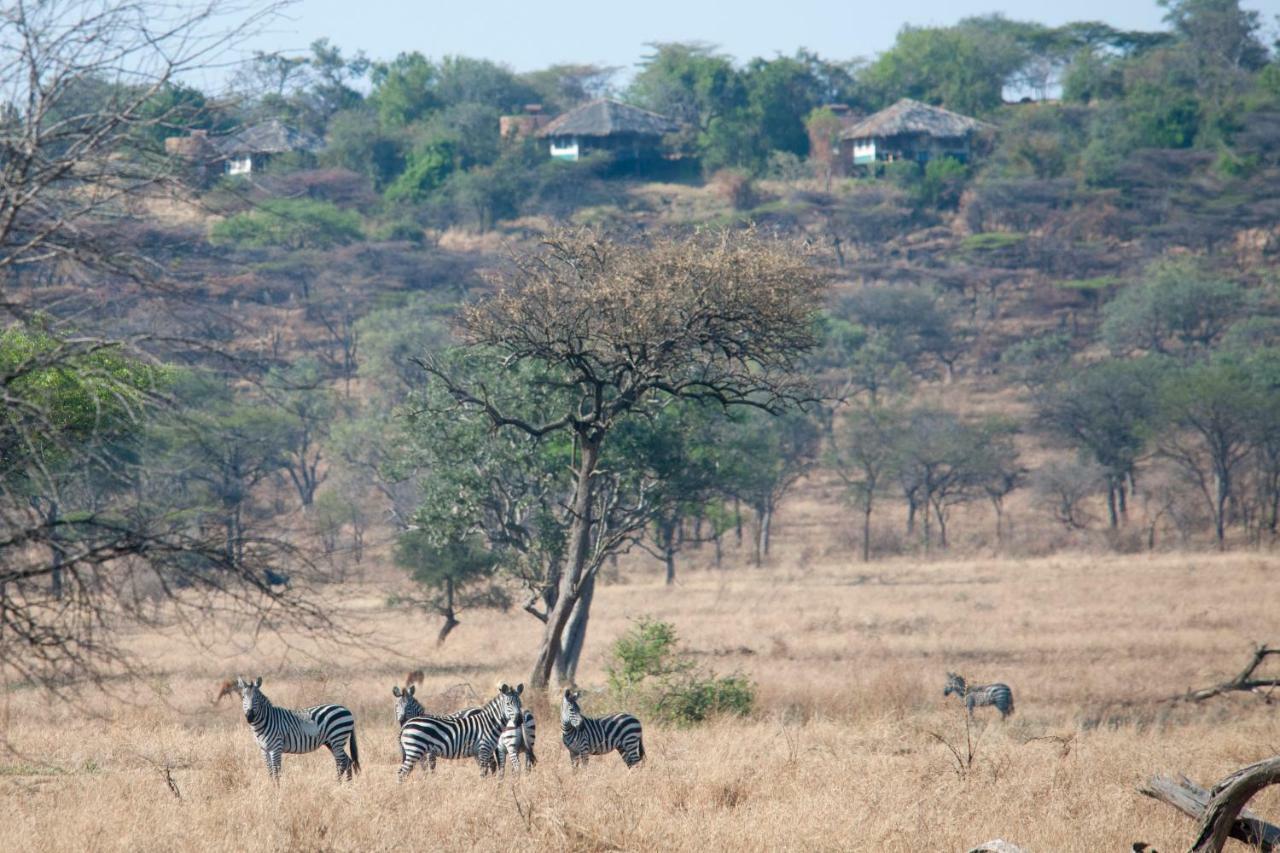Mbalageti Serengeti Buitenkant foto